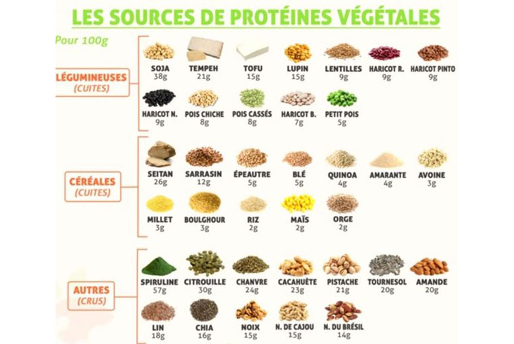 Protéines végétales et ses différentes sources